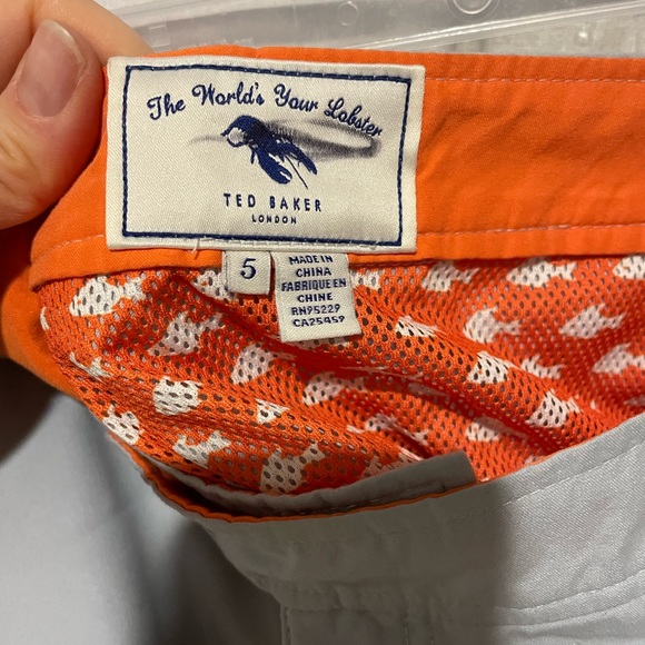 Ted Bakers “The World’s your Oyster” lined swim shorts. Size 5 (36). Grey - Picture 7 of 8